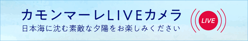 カモンマーレLIVEカメラ